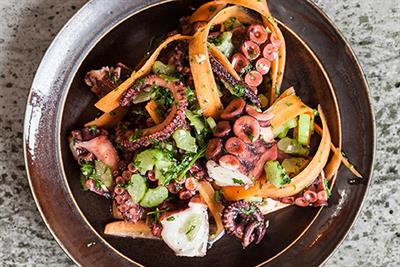 Cephalopod Gastronomy—A Promise for the Future